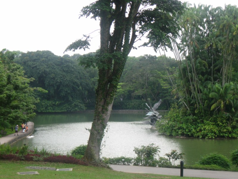 Botanischer Garten, Singapur