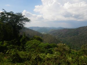 Khao Yai